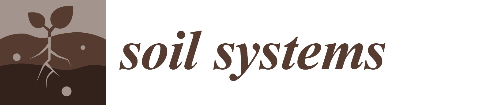 Soyl_system_logo
